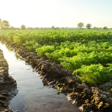 Wastewater reuse in agriculture