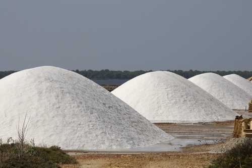 tecnologia di desalinizzazione